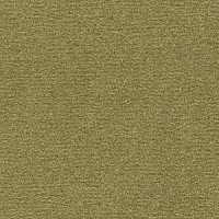 Ковролин Radici Nexus Muschio 8207 фото 1 | FLOORDEALER